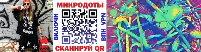 Галлюциногенные грибы Psilocybine cubensis Нижнеудинск